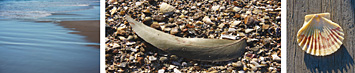 three icon images: water, leaf and shell